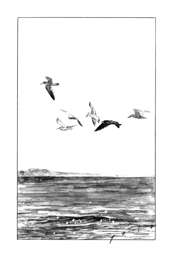 <br>海鳥の日<br>2024／インク・墨・透明水彩・紙<br>由比ヶ浜（神奈川）